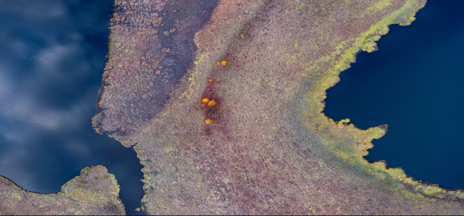 Earth Observation Project